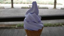 遊VIVA 北海道