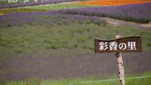 $遊VIVA 北海道