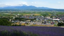 遊VIVA 北海道