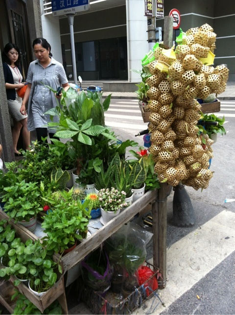 photo:01