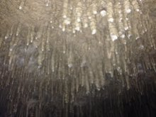 沖縄 美ら海ブログ