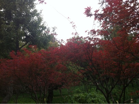 photo:05