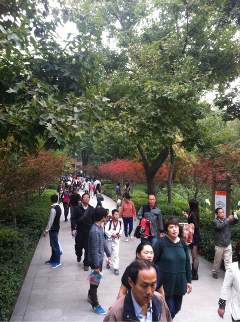 photo:04