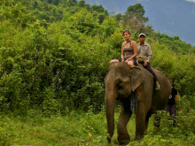 “自然を愛する”エコなブログ-象とジャングルをトレッキング