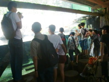 H.I.S.シンガポール支店