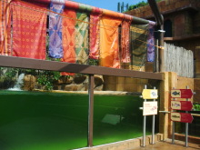 H.I.S.シンガポール支店