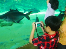 H.I.S.シンガポール支店