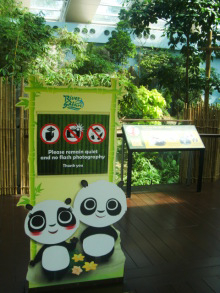 H.I.S.シンガポール支店