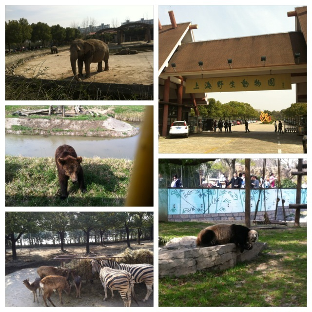 野生動物園