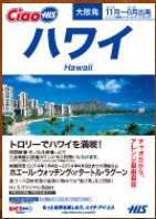 車いすで行く！バリアフリー旅行・ハワイ専門店｜H.I.S.バリアフリー旅行専門デスク