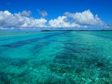 パラオ　海　シュノーケリング　航空券