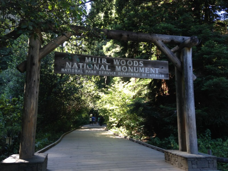サンフランシスコ観光ブログ 癒しの森林浴 ミュアウッズ国定公園