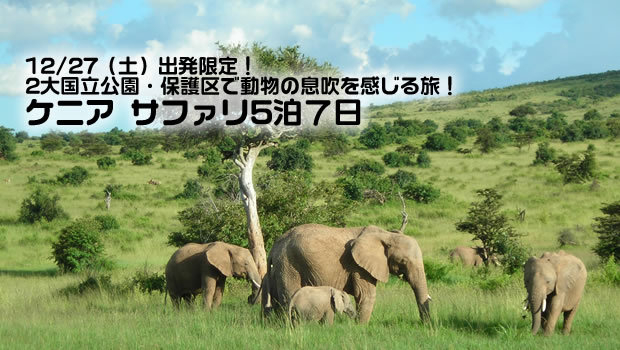 けにあ